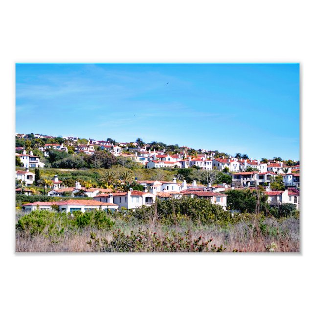 Crystal Cove State Park Photo Print (Front)