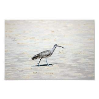 Crystal Cove State Park Photo Print
