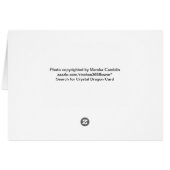 Crystal Dragon Card (Back Horizontal)