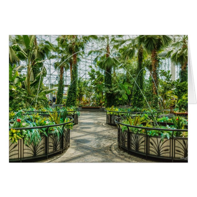 Crystal Gardens Leap Fountain Cards (Front Horizontal)