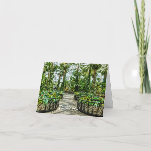 Crystal Gardens Leap Fountain Thank You Card (Front)