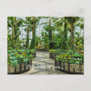 Crystal Gardens Leap Fountain Thinking Of You Postcard