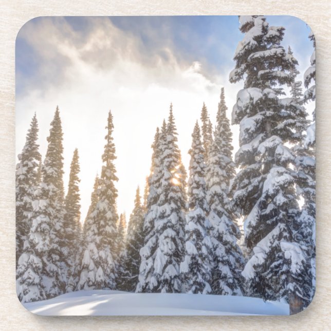 Crystal Mountain Ski Resort, near Mt. Rainier 1 Beverage Coaster (Front)