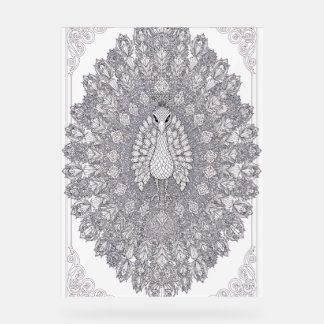 Crystal Peacock Wall Art | Geometric Peacock Line Acrylic Sign