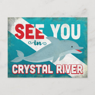 Crystal River Dolphin - Retro Vintage Travel Postcard