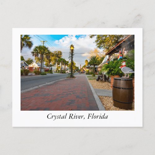 Crystal River Florida Postcard