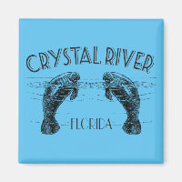 Crystal River Florida with Manatees