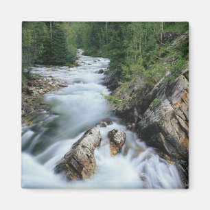 Crystal River, Gunnison National Forest, Magnet