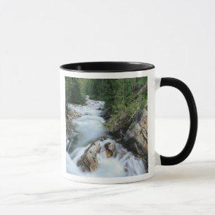 Crystal River, Gunnison National Forest, Mug