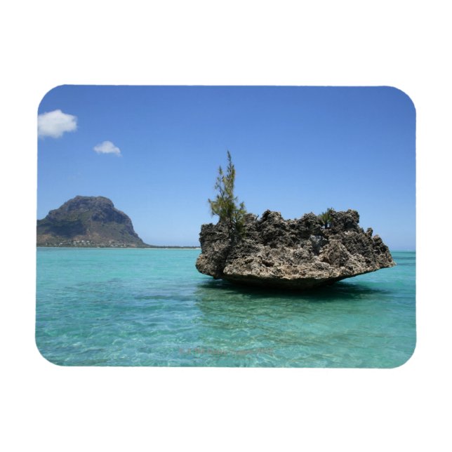 Crystal rock composed of coral magnet (Horizontal)