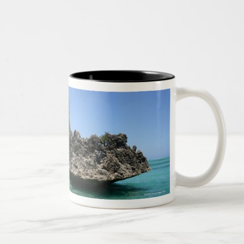 Crystal rock composed of coral Two_Tone coffee mug