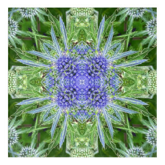 Crystal Thistle floral pattern Acrylic Print