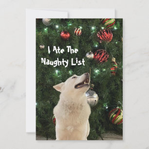 Crystal's Naughty List - Husky Dog Christmas Flat  Holiday Card