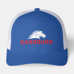 CS University Chargers