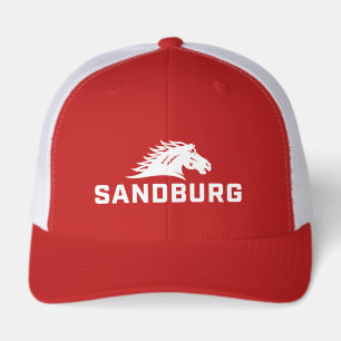 CS University Chargers
