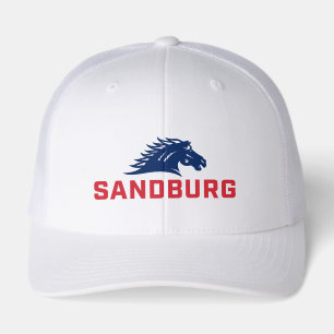 CS University Chargers