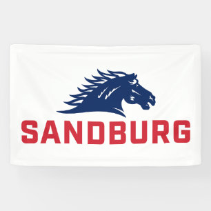 CS University Chargers Banner