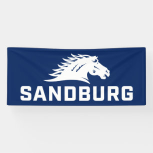 CS University Chargers Banner