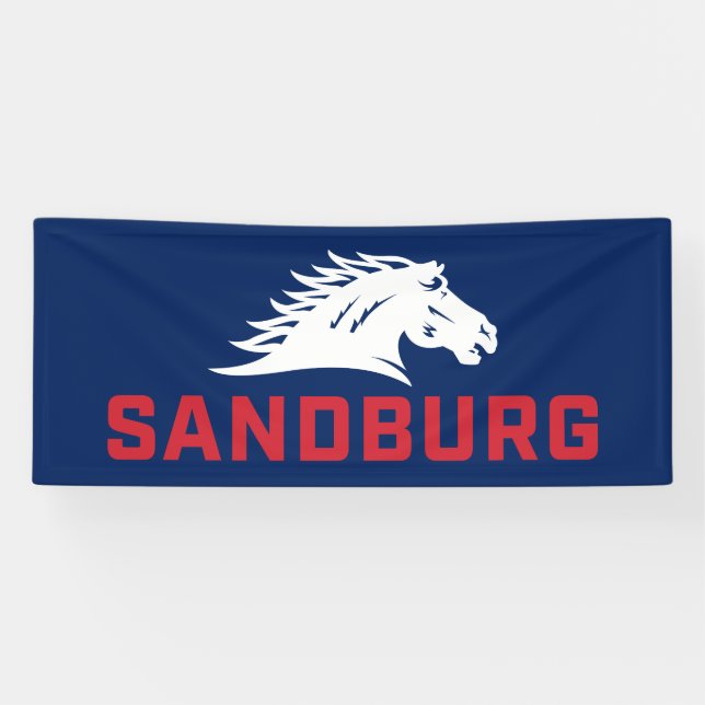 CS University Chargers Banner (Horizontal)