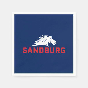CS University Chargers Napkins