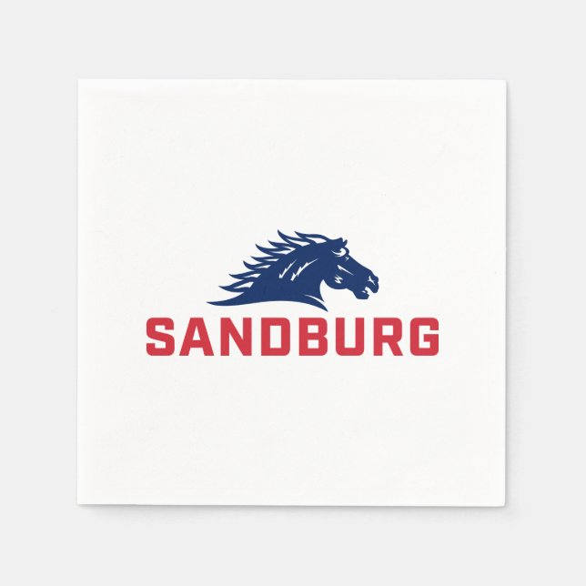 CS University Chargers Napkins (Front)