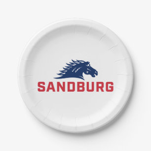 CS University Chargers Paper Plates