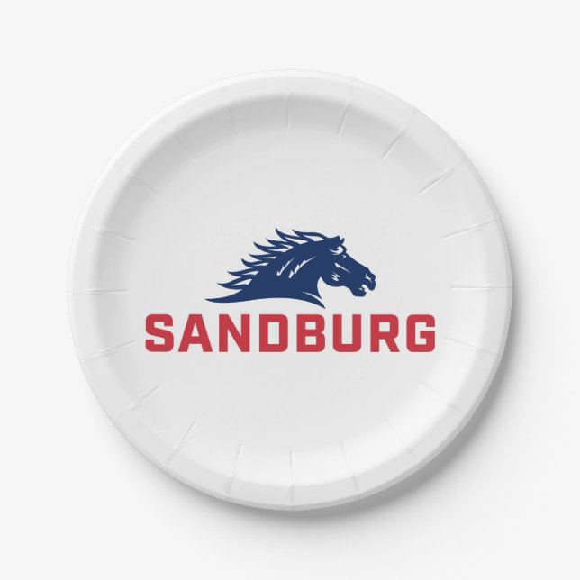 CS University Chargers Paper Plates (Front)