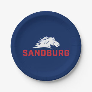 CS University Chargers Paper Plates