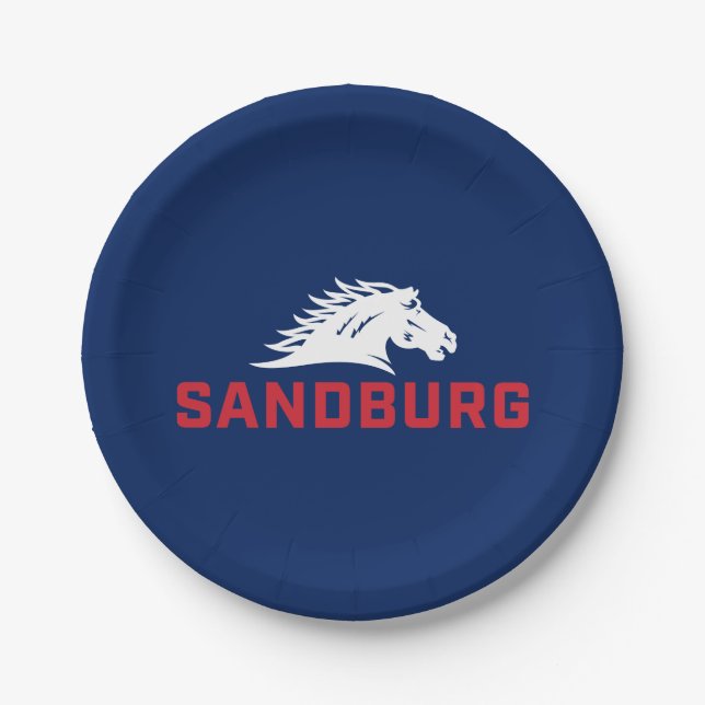 CS University Chargers Paper Plates (Front)