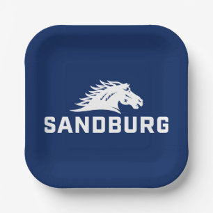 CS University Chargers Paper Plates