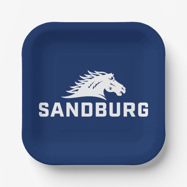 CS University Chargers Paper Plates (Front)