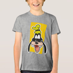 CSEU499012.ai Tri-Blend Shirt