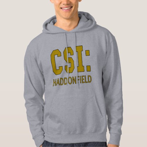 CSI Haddonfield IL Products Hoodie