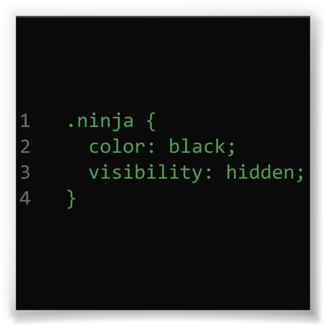 CSS Coding Ninja Photo Print (Front)