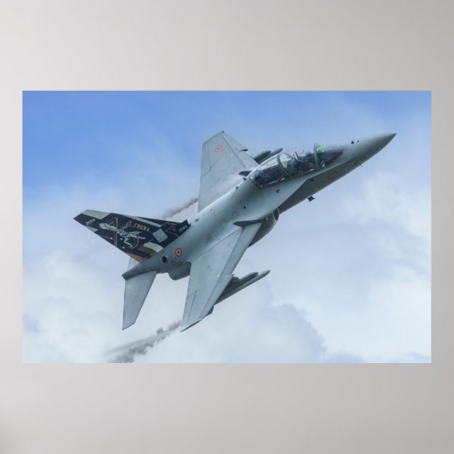 CSX7352 F-2000A 36 Stormo's Centenary Tribute Poster (Front)