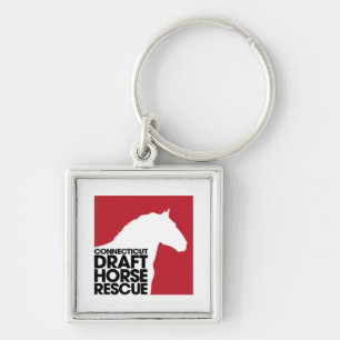 CT Draft Horse Rescue button keychain