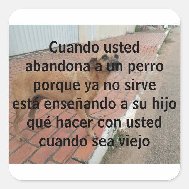 cuando usted abandona un perro square sticker (Front)