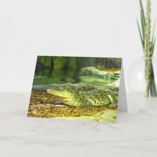 Cuban crocodile holiday card