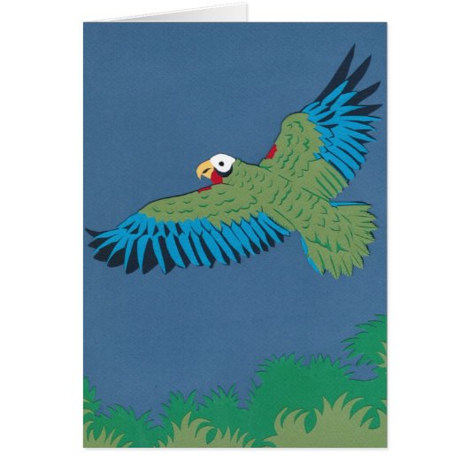 Cuban Parrot Cards (Front)