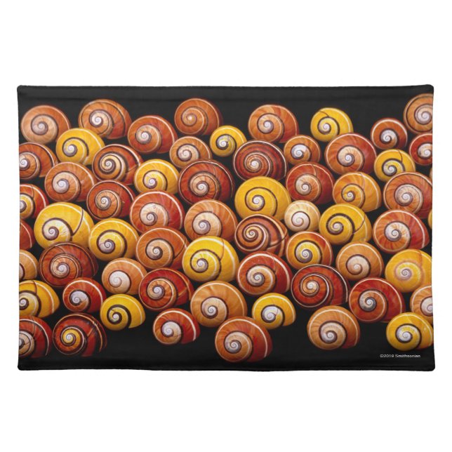 Cuban Tree Snails Cloth Placemat (Front)