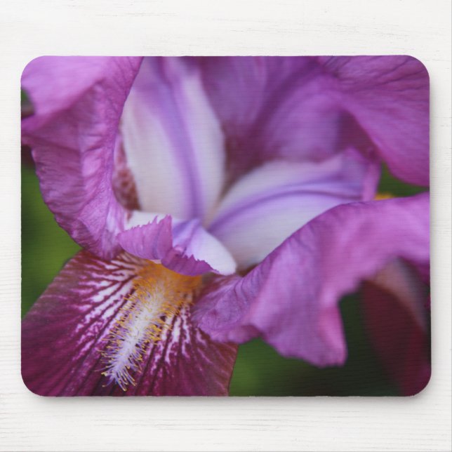 Cubby Color Mouse Pad (Front)