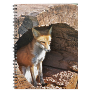 Cubby hole notebook