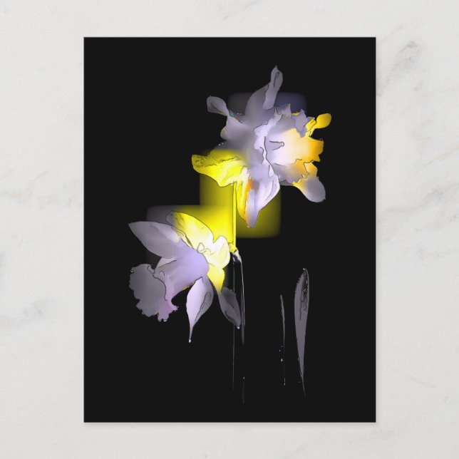 Cubist Daffodils Postcard (Front)