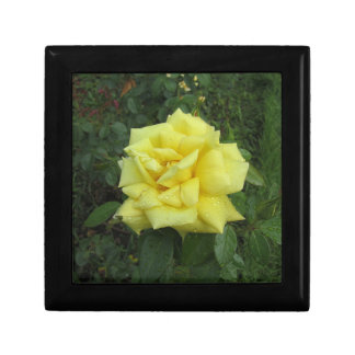 Cubist Rose Gift Box