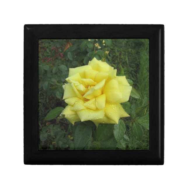 Cubist Rose Gift Box (Front)