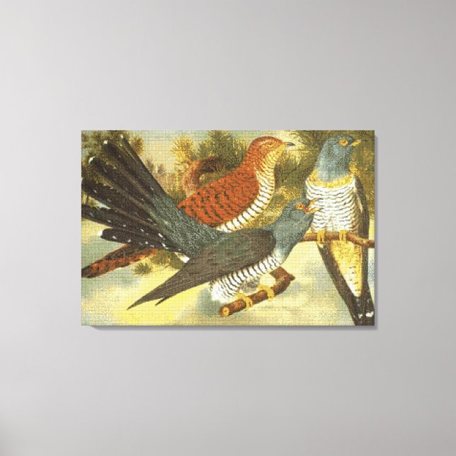 Cuckoo Birds with Modern Art Canvas Print (Front)
