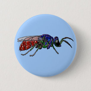 Cuckoo Wasp Pinback Button