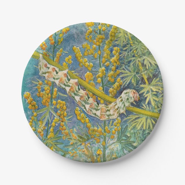 Cucullia Absinthii Wormwood Caterpillar  Paper Plates (Front)