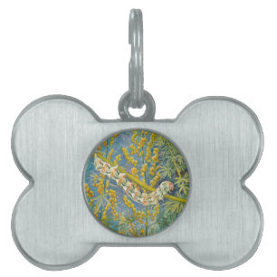 Cucullia Absinthii Wormwood Caterpillar Pet Tag