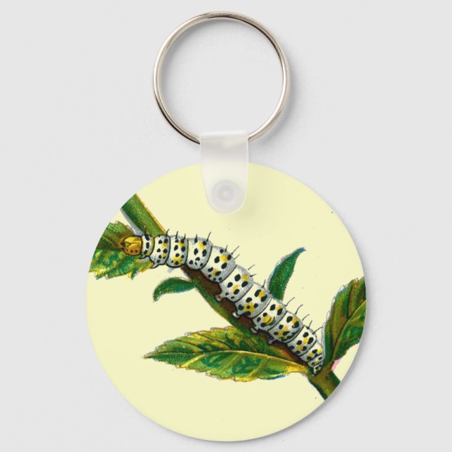 Cucullia verbasci caterpillar keychain (Front)